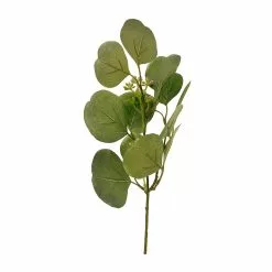 Outlet ๐ Assorted Green Eucalyptus & Berry Pick by Ashland® ๐ฅฐ 10 Outlet ๐ Assorted Green Eucalyptus & Berry Pick by Ashland® ๐ฅฐ -Ashland Online Store 10626934 4