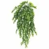 Best Sale ⭐ Hanging Ruscus Bush by Ashland® ✨ -Ashland Online Store 10626982 1