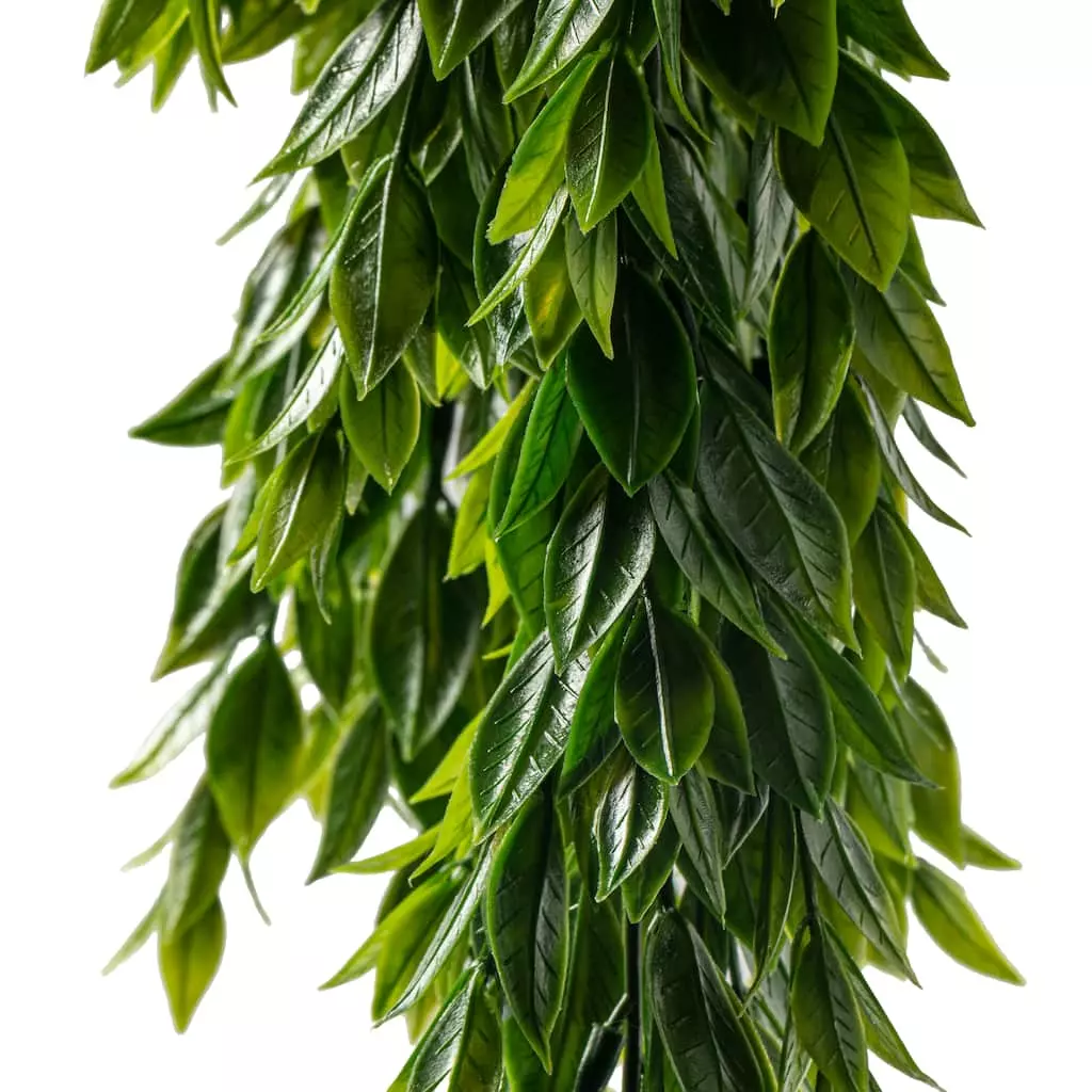 Best Sale ⭐ Hanging Ruscus Bush by Ashland® ✨ 5 Best Sale ⭐ Hanging Ruscus Bush by Ashland® ✨ - Image 3