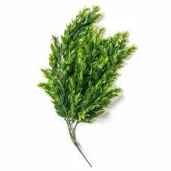 Best Sale ⭐ Hanging Ruscus Bush by Ashland® ✨ 10 Best Sale ⭐ Hanging Ruscus Bush by Ashland® ✨ -Ashland Online Store 10626982 21