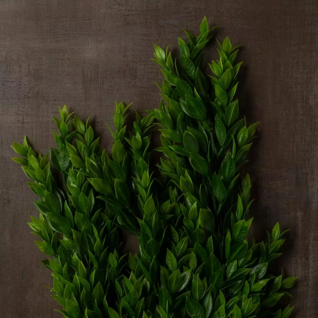 Best Sale ⭐ Hanging Ruscus Bush by Ashland® ✨ 7 Best Sale ⭐ Hanging Ruscus Bush by Ashland® ✨ - Image 5