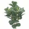 Outlet 😀 Silver Dollar & Lamb's Ear Bush by Ashland® 😀 -Ashland Online Store 10626983