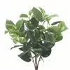 Coupon 🔥 6 Pack: Green Pothos Bush by Ashland® ✨ -Ashland Online Store 10626988 1 1