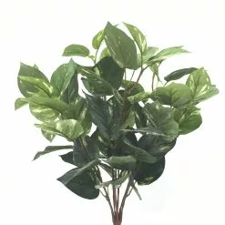 Best Pirce 😉 Green Pothos Bush by Ashland® ✨