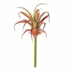 Budget 🔥 Assorted Succulent Pick by Ashland® ❤️