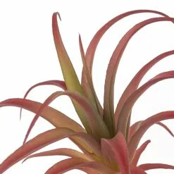 Budget 🔥 Assorted Succulent Pick by Ashland® ❤️ -Ashland Online Store 10626994 20