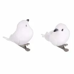 Deals ⭐ 8 Packs: 6 ct. (48 total) White Feather Birds by Ashland® ✨