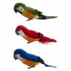 Best reviews of 🎉 12 Pack: Assorted Feather Parrots by Ashland® 🌟