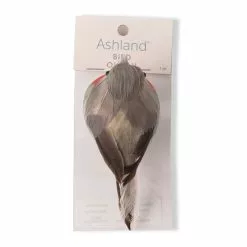 Cheap 🧨 Orange Breasted Feather Bird by Ashland® ✨ -Ashland Online Store 10627158 20