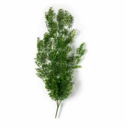 Coupon 💯 12 Pack: Green Boxwood Bush by Ashland® 💯