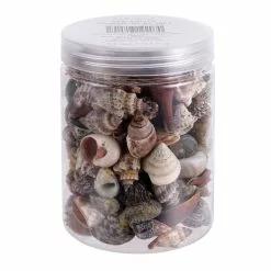 Top 10 ✨ Natural Small Sea Shell Mix by Ashland® 🛒 -Ashland Online Store 10627359 1