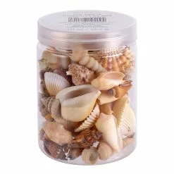 Coupon 🛒 12 Pack: Natural Mixed Shells by Ashland® 🎉 -Ashland Online Store 10627361 1 1