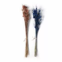 Budget ๐ Assorted Star Grass Bundle by Ashland® ๐