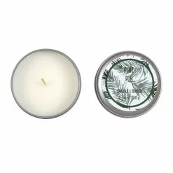 New 👏 Assorted 2.5oz. Scented Candle in Tin Container by Ashland® 👍 -Ashland Online Store 10637366 2 1