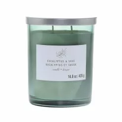 Outlet ๐ Eucalyptus & Sage 2-Wick Jar Candle by Ashland® ๐