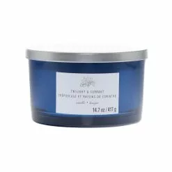 New 🛒 Twilight & Currant 3-Wick Jar Candle by Ashland® ✨
