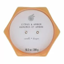 Best deal 🔔 Citrus & Amber 2-Wick Jar Candle by Ashland® ⌛