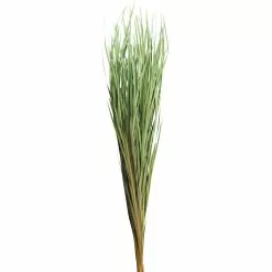 Cheapest ⌛ 8 Pack: Green Magnolia Flax Grass Bundle by Ashland® 🤩
