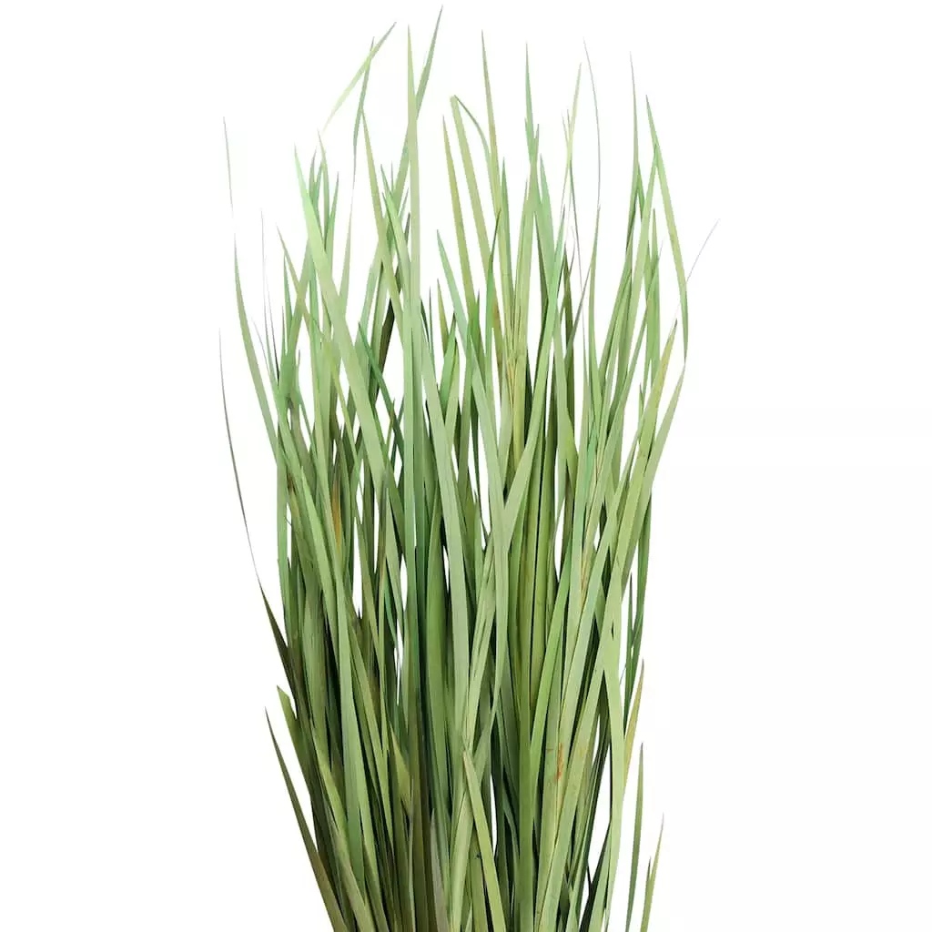 Cheapest โ 8 Pack: Green Magnolia Flax Grass Bundle by Ashland® ๐คฉ 4 Cheapest โ 8 Pack: Green Magnolia Flax Grass Bundle by Ashland® ๐คฉ - Image 2