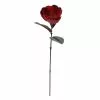 Best Pirce 🧨 Red Magnolia Stem by Ashland® 😉 -Ashland Online Store 10670749 1
