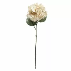 Deals ⌛ Cream Hydrangea Stem by Ashland® 🥰