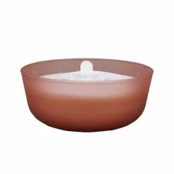 Brand new 😉 18.7oz. Peony & Rose Candle by Ashland® ✔️