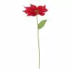 Best Pirce ๐งจ Red Traditional Poinsettia Stem by Ashland® ๐ 2 Best Pirce ๐งจ Red Traditional Poinsettia Stem by Ashland® ๐ -Ashland Online Store 10673367 1