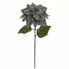 Best reviews of 😉 Silver Glitter Poinsettia Stem by Ashland® 🌟 -Ashland Online Store 10673375 1