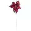 Buy 🔥 Mauve & Gold Poinsettia Stem by Ashland® 😍 -Ashland Online Store 10673447 1