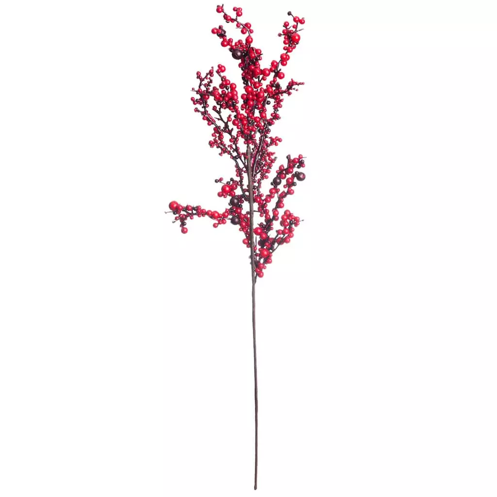 Best reviews of ๐ Red Clustered Berry Stem by Ashland® โค๏ธ 3 Best reviews of ๐ Red Clustered Berry Stem by Ashland® โค๏ธ