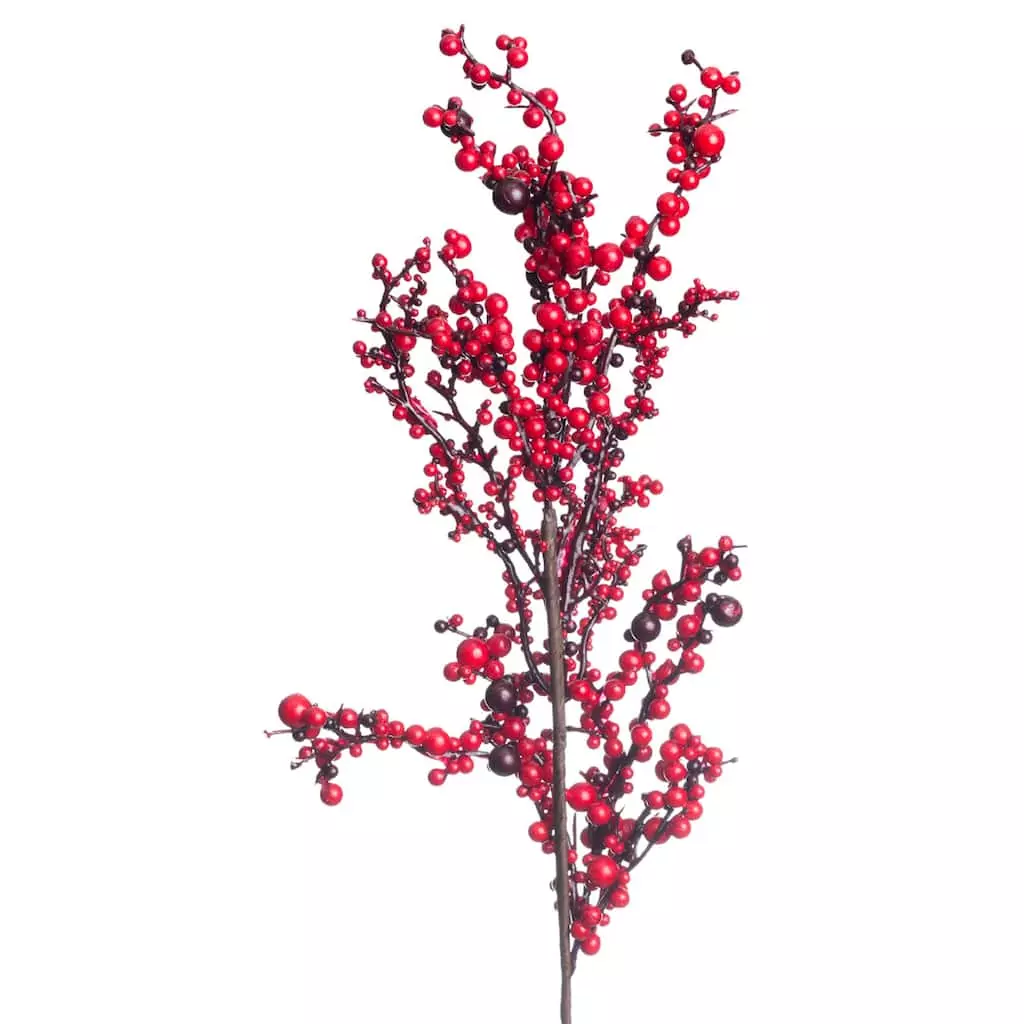 Best reviews of ๐ Red Clustered Berry Stem by Ashland® โค๏ธ 4 Best reviews of ๐ Red Clustered Berry Stem by Ashland® โค๏ธ - Image 2