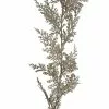 Wholesale 🛒 6ft. Champagne Juniper Pine Garland by Ashland® ✔️ -Ashland Online Store 10673731 1
