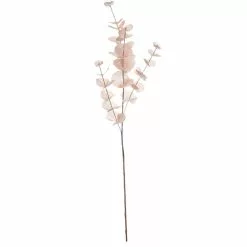 Best reviews of ✨ Pink Iridescent Eucalyptus Stem by Ashland® 🛒