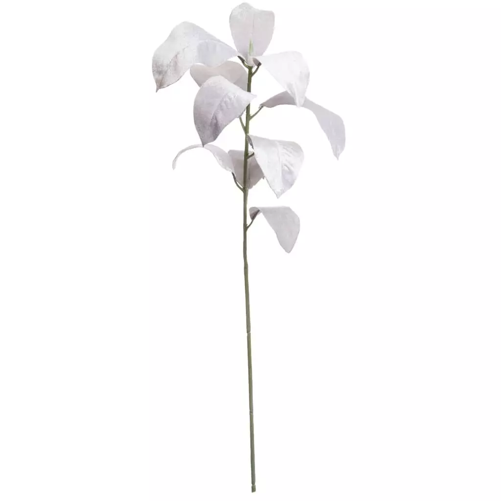 Brand new ๐ Light Gray Velvet Long Leaf Stem by Ashland® โจ 3 Brand new ๐ Light Gray Velvet Long Leaf Stem by Ashland® โจ