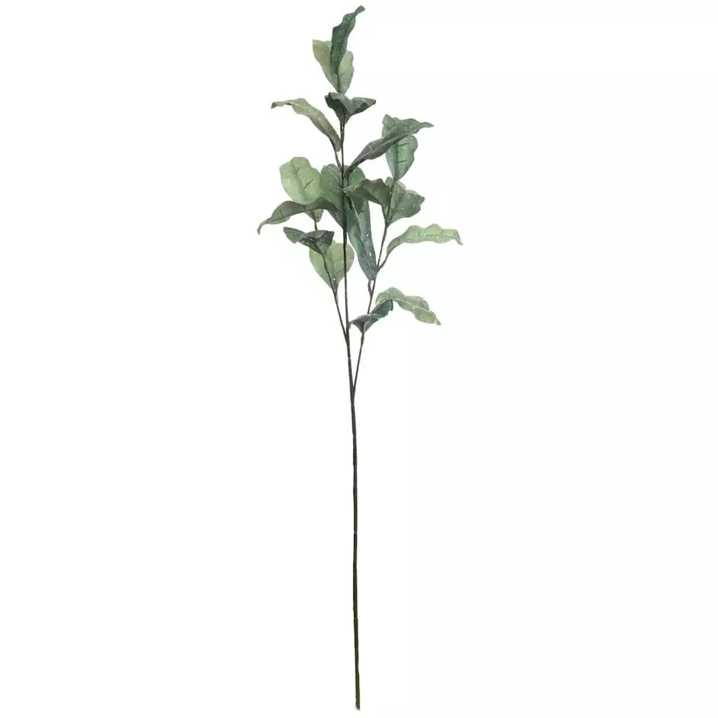 Best Pirce โ๏ธ Glitter Green Magnolia Leaf Stem by Ashland® ๐ 3 Best Pirce โ๏ธ Glitter Green Magnolia Leaf Stem by Ashland® ๐