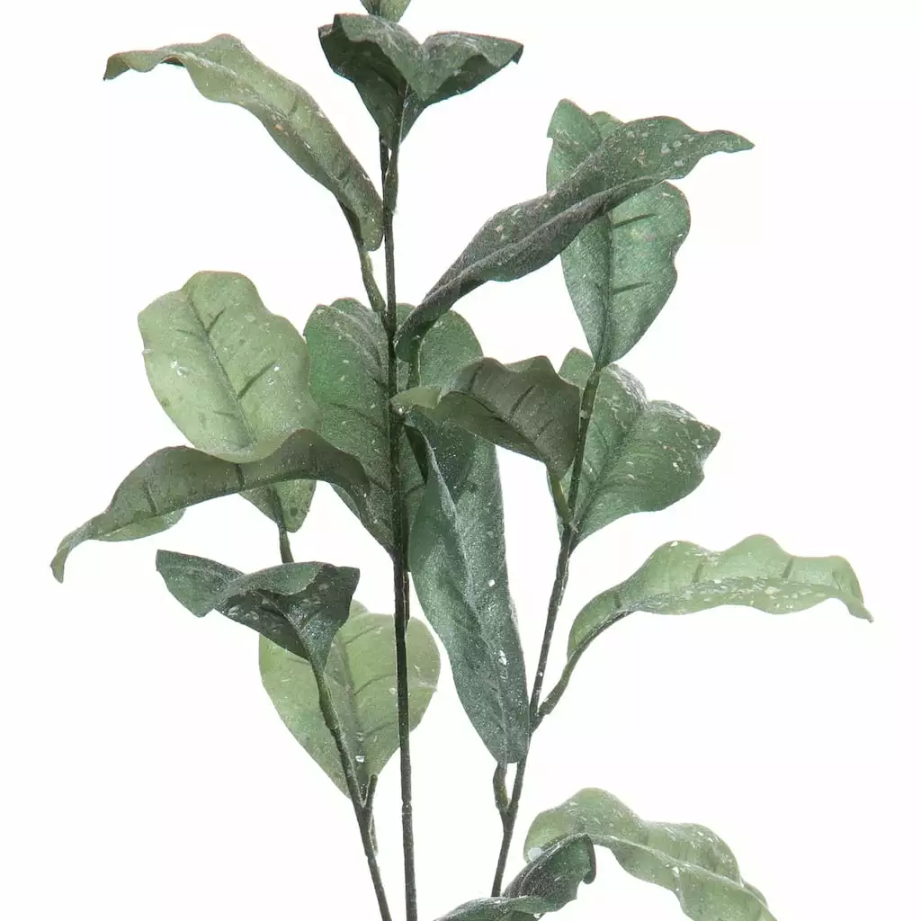 Best Pirce โ๏ธ Glitter Green Magnolia Leaf Stem by Ashland® ๐ 4 Best Pirce โ๏ธ Glitter Green Magnolia Leaf Stem by Ashland® ๐ - Image 2