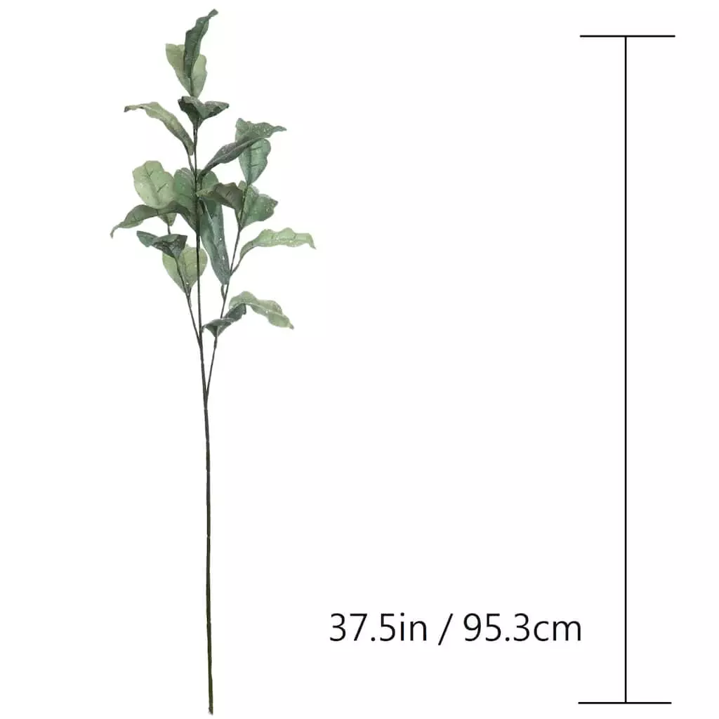 Best Pirce โ๏ธ Glitter Green Magnolia Leaf Stem by Ashland® ๐ 5 Best Pirce โ๏ธ Glitter Green Magnolia Leaf Stem by Ashland® ๐ - Image 3