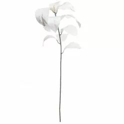 Buy 👍 White Velvet Magnolia Leaves by Ashland® ⭐