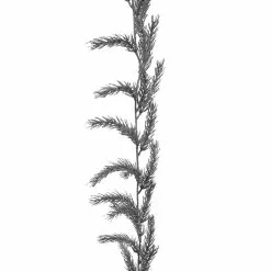 Best reviews of ⌛ 6ft. Silver Pine Garland by Ashland® ⭐