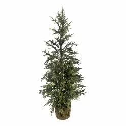 Hot Sale 😀 3ft. Pine Tree in Basket by Ashland® ⌛