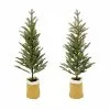 Hot Sale ⌛ Assorted 3ft. Pine Tree in Burlap Bag by Ashland® 👍 -Ashland Online Store 10675201 1