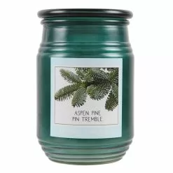 Cheap โจ Aspen Pine Jar Candle by Ashland® ๐