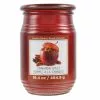 Promo 🎁 Cinnamon Apples Jar Candle by Ashland® 🥰 -Ashland Online Store 10675793 1