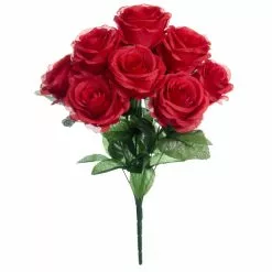 Top 10 โ๏ธ Red Rose Bush by Ashland® ๐ฅฐ