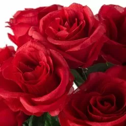 Promo 💯 12 Pack: Red Rose Bush by Ashland® ⭐ -Ashland Online Store 10676296 20