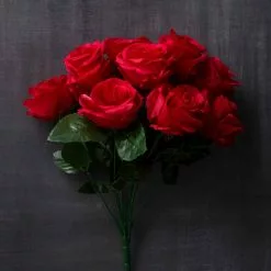 Promo 💯 12 Pack: Red Rose Bush by Ashland® ⭐ -Ashland Online Store 10676296 22