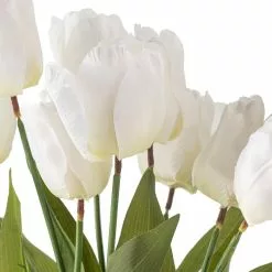 Brand new 🛒 12 Pack: White Tulip Bush by Ashland® 👍 -Ashland Online Store 10676299 20
