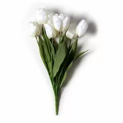 Brand new 🛒 12 Pack: White Tulip Bush by Ashland® 👍