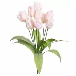 Top 10 โค๏ธ Pink Tulip Bush by Ashland® โ๏ธ