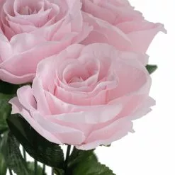 Best deal 🧨 12 Pack: Pink Rose Bush by Ashland® 🌟 -Ashland Online Store 10676301 20